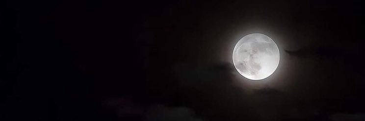 AddisonAlexiss's profile banner image