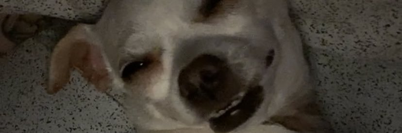 JuliBolff's profile banner image