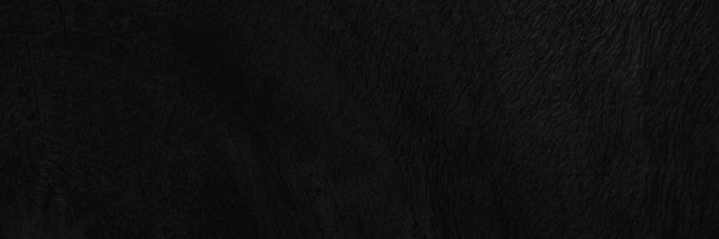 TheAdamGordon's profile banner image