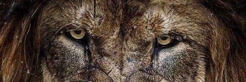 WarMachinexTCFx's profile banner image