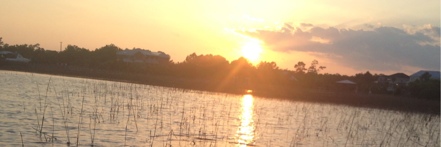 spabell's profile banner image