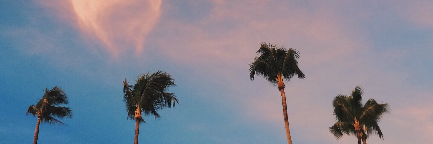 cessquintos's profile banner image