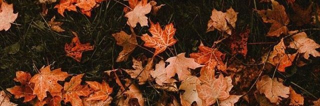 Telleeeeeeez_'s profile banner image