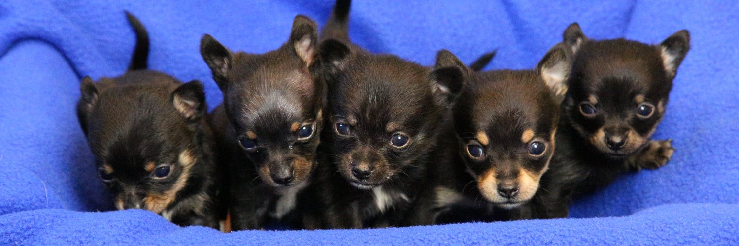 Wisconsin Humane Society Green Bay Campus banner