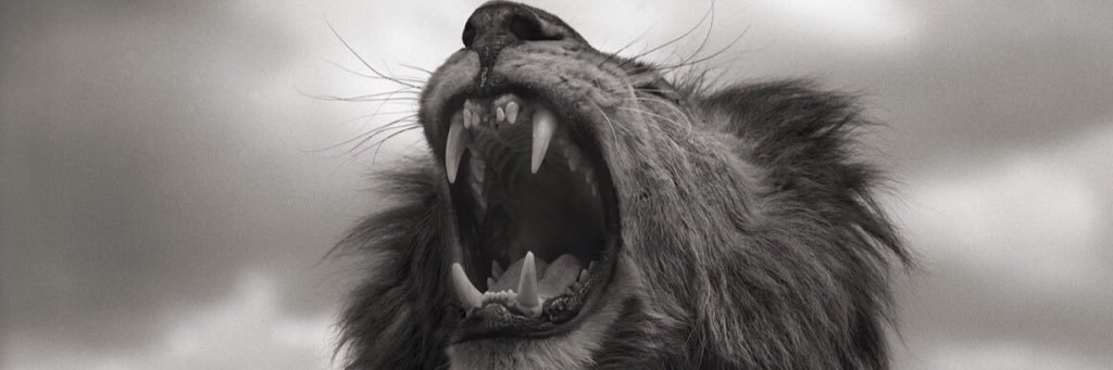 PanchoDoes's profile banner image