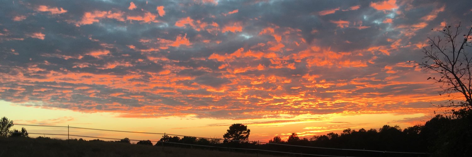 Brandon Worley banner