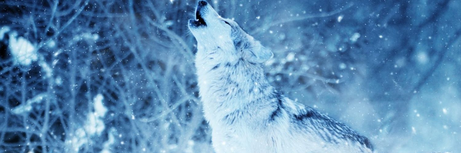 TrancesWithWolves banner