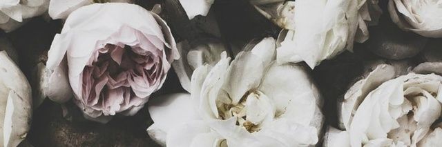 SusyBxx's profile banner image