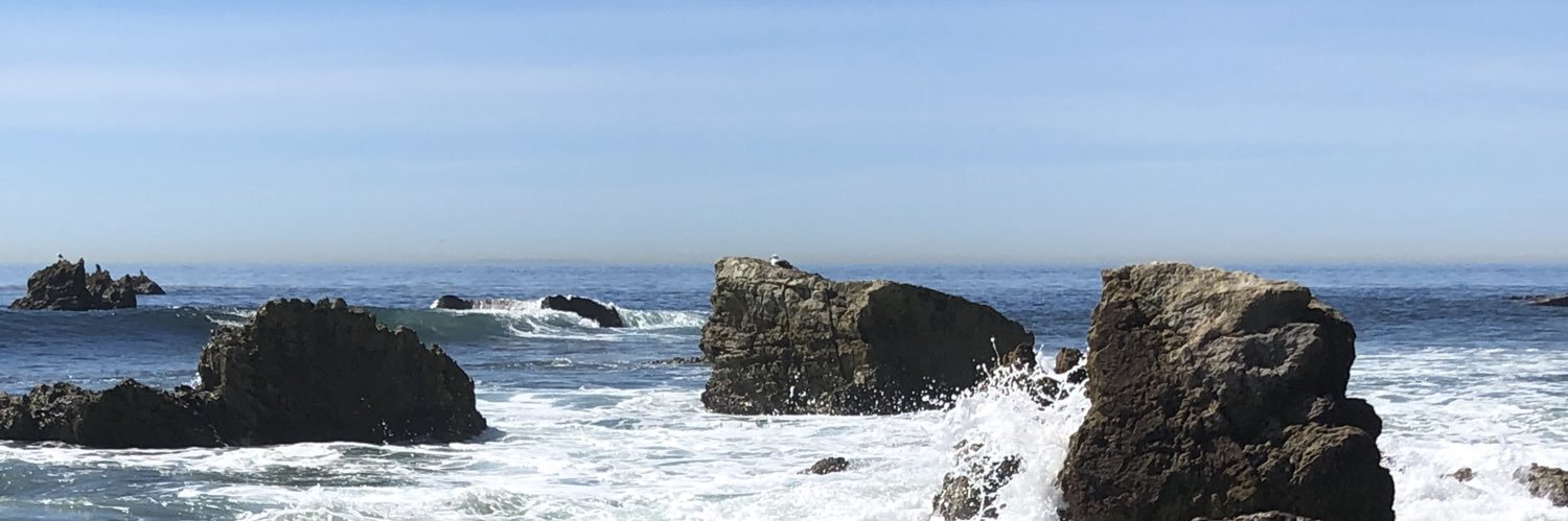 CP1263's profile banner image