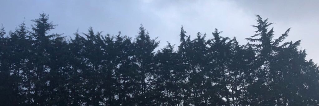 mariajoseet's profile banner image