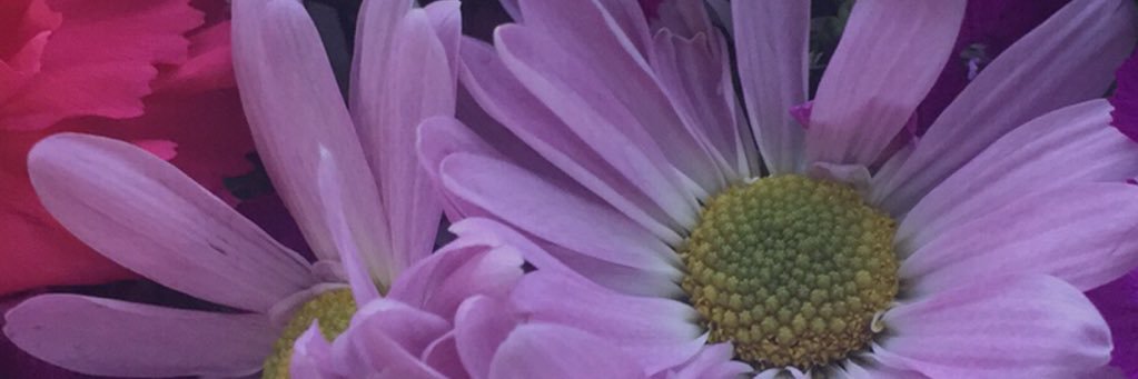 Elizabeth banner