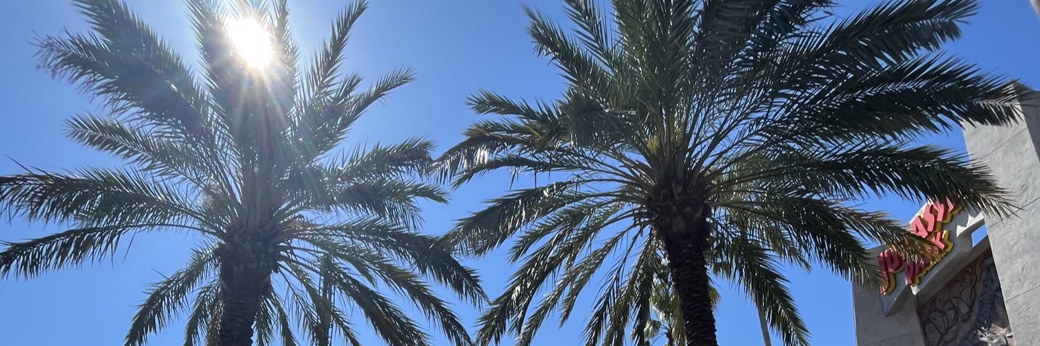 GinaPallozzi's profile banner image