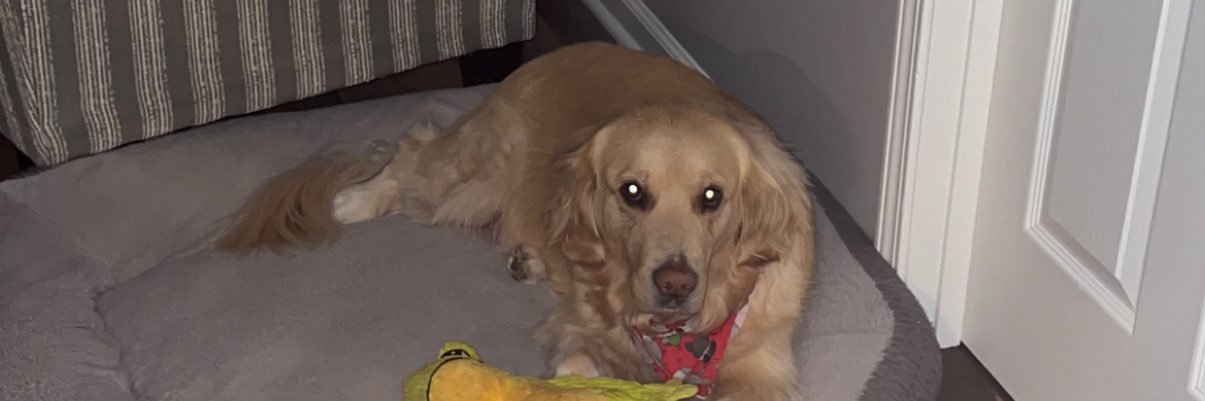 Luke Robinson banner