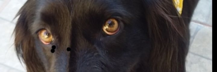 brugmm's profile banner image