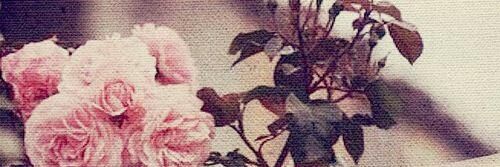 s_ma2011's profile banner image