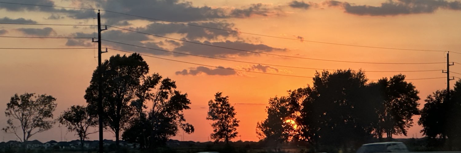 Alison Clancy banner