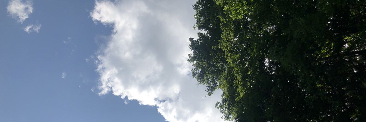 JuliannaFrewin's profile banner image