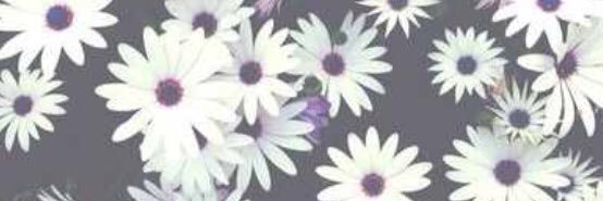 4_iun's profile banner image