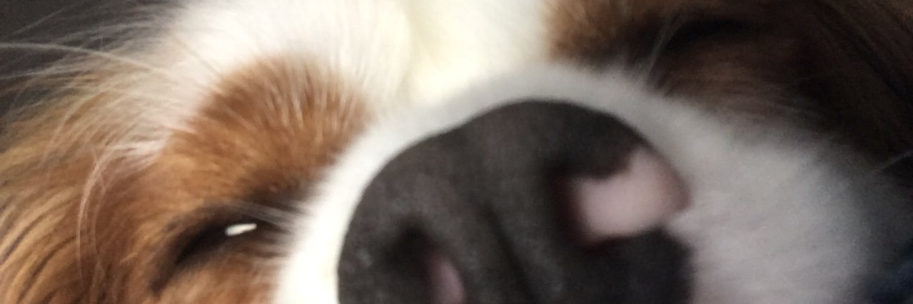 Scott_Smart's profile banner image