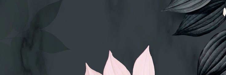 bebotzz's profile banner image