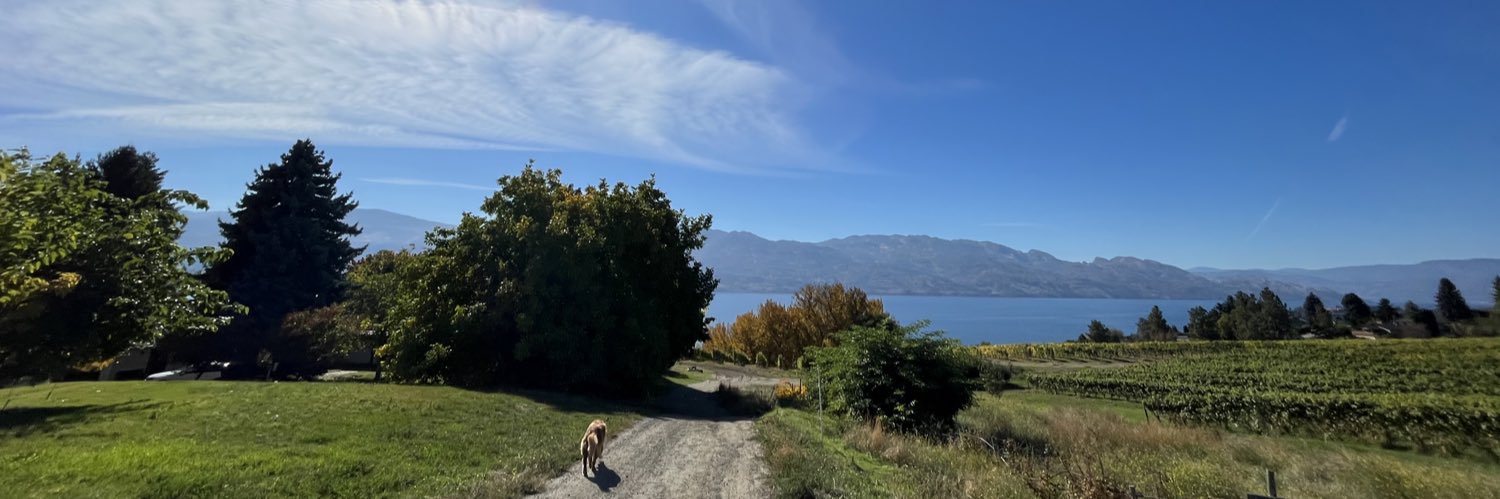 Lindsey Berthelsen banner