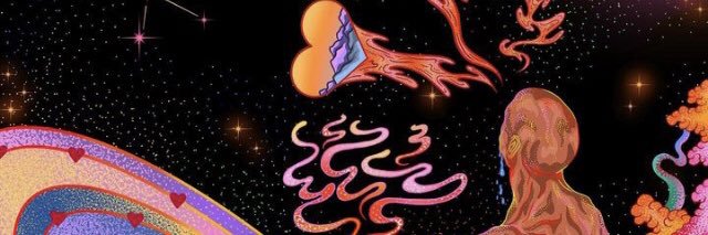 sofiaschinner's profile banner image