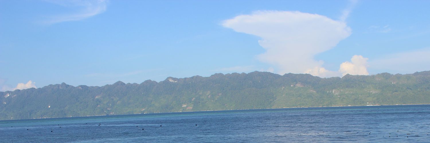 Aim_Pribumi's profile banner image