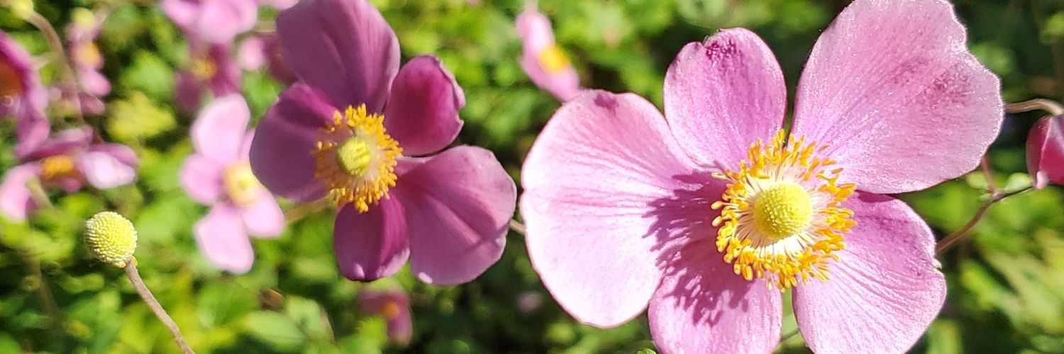 Stephyyy_T's profile banner image