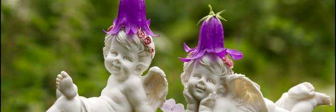 Serpil_Yucel's profile banner image