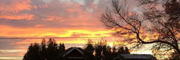 chelicerata Profile Banner