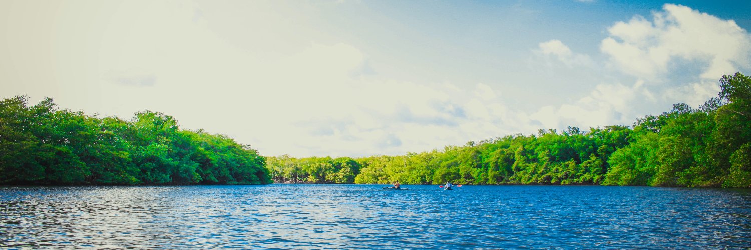 duncanlew's profile banner image