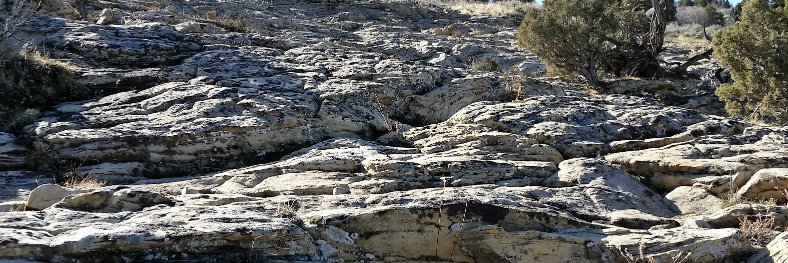 Wyomingwild's profile banner image