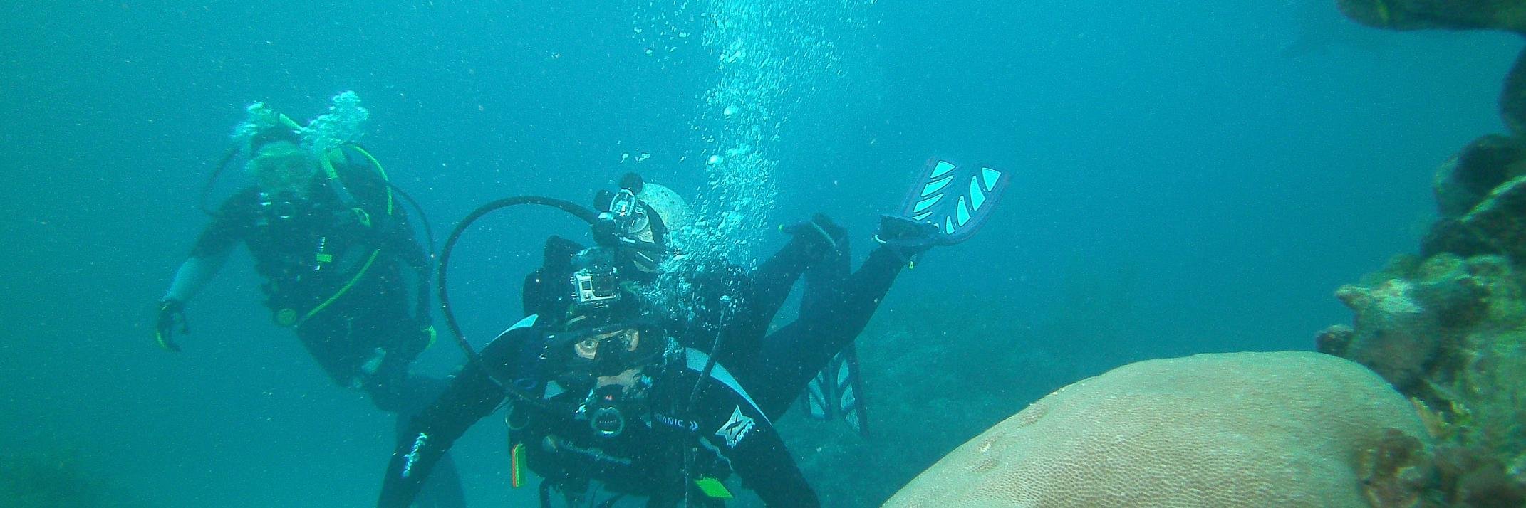 Pisces Sch. of Dive (@PiscesDivers) / Posts / X