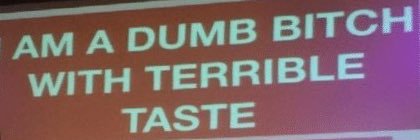 Shirley Temple of the Dog banner