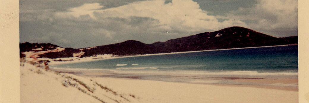 Carolyn Chambers Clark banner