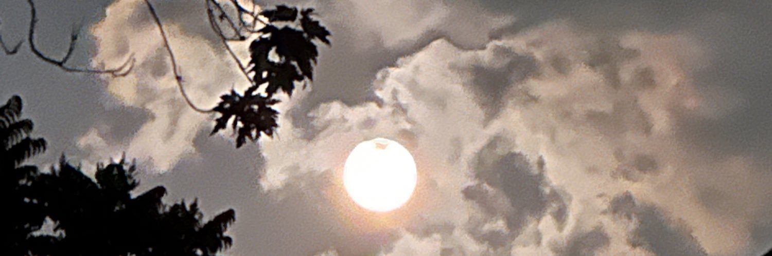 L_st_Moon's profile banner image