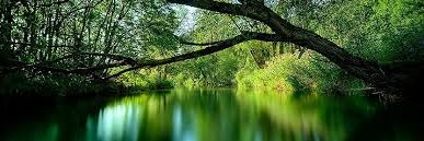 Sam Gooner Fan banner