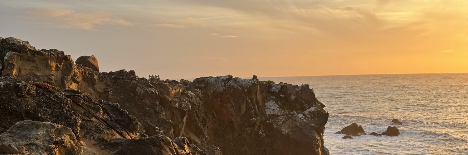 Noelle Acosta banner