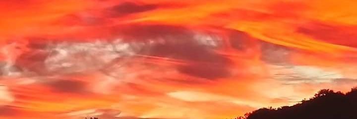 Tracey Powell banner