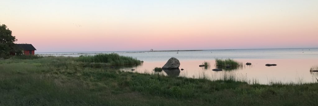 OrtmanAstrid's profile banner image