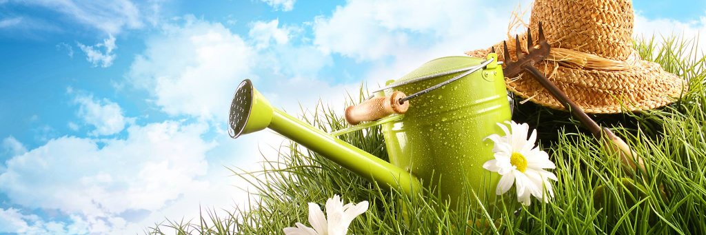 gardenality's profile banner image