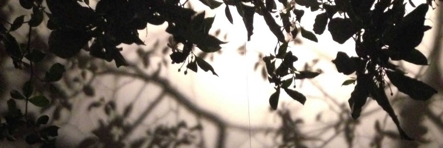 jonathantjj's profile banner image