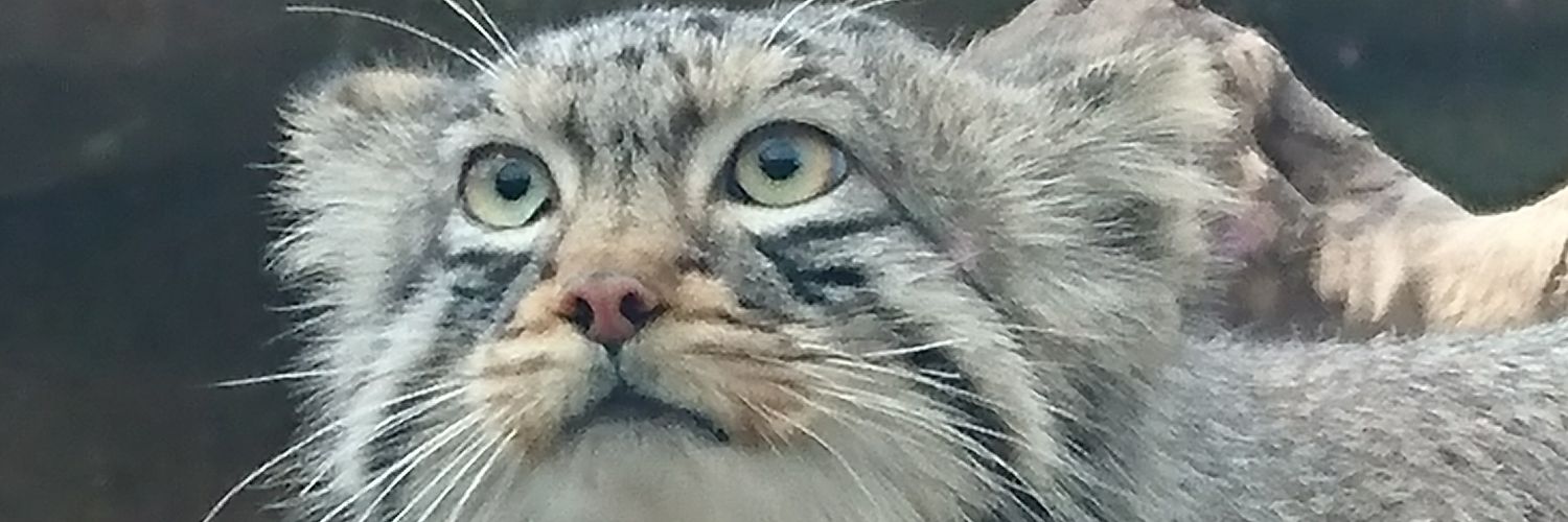 mccoy0103's profile banner image