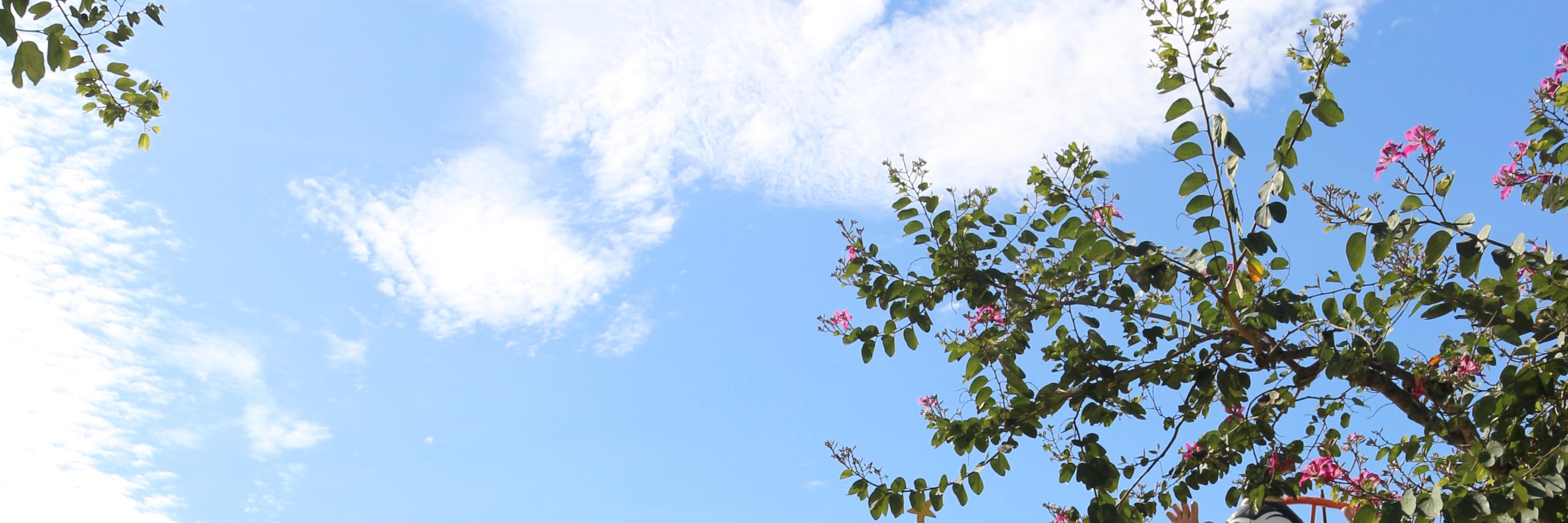 martnanindya's profile banner image