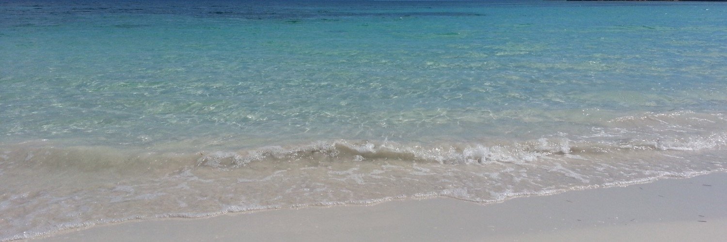 Fidel Sánchez  banner