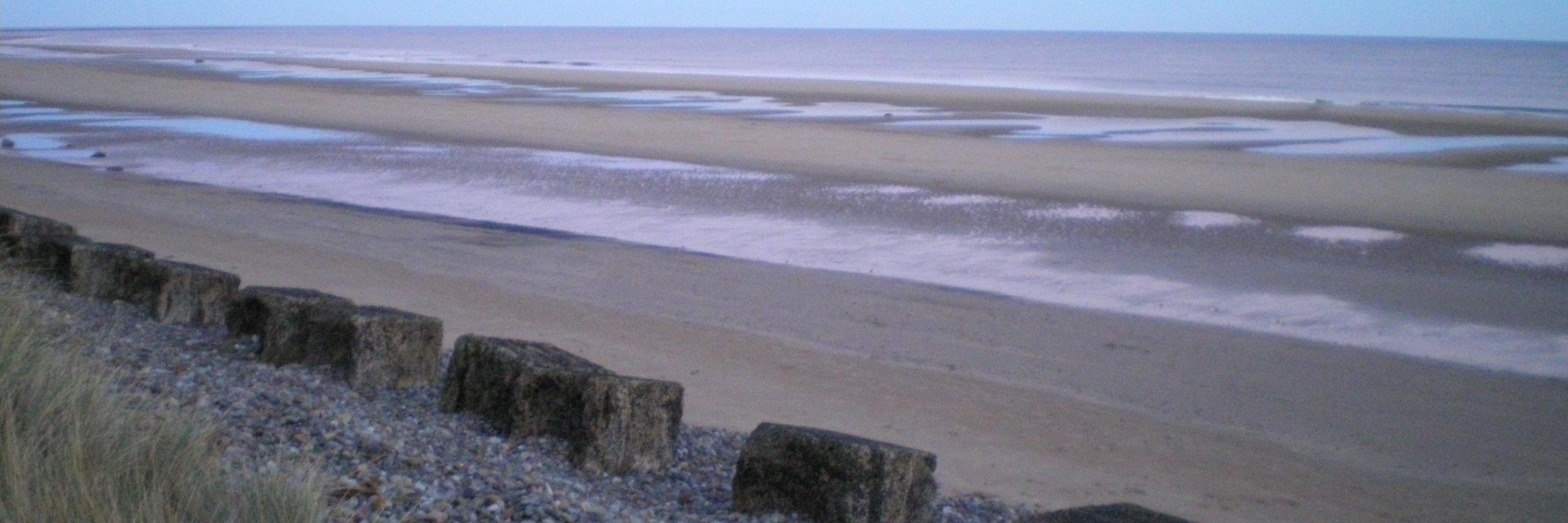 AnneMarieWight's profile banner image