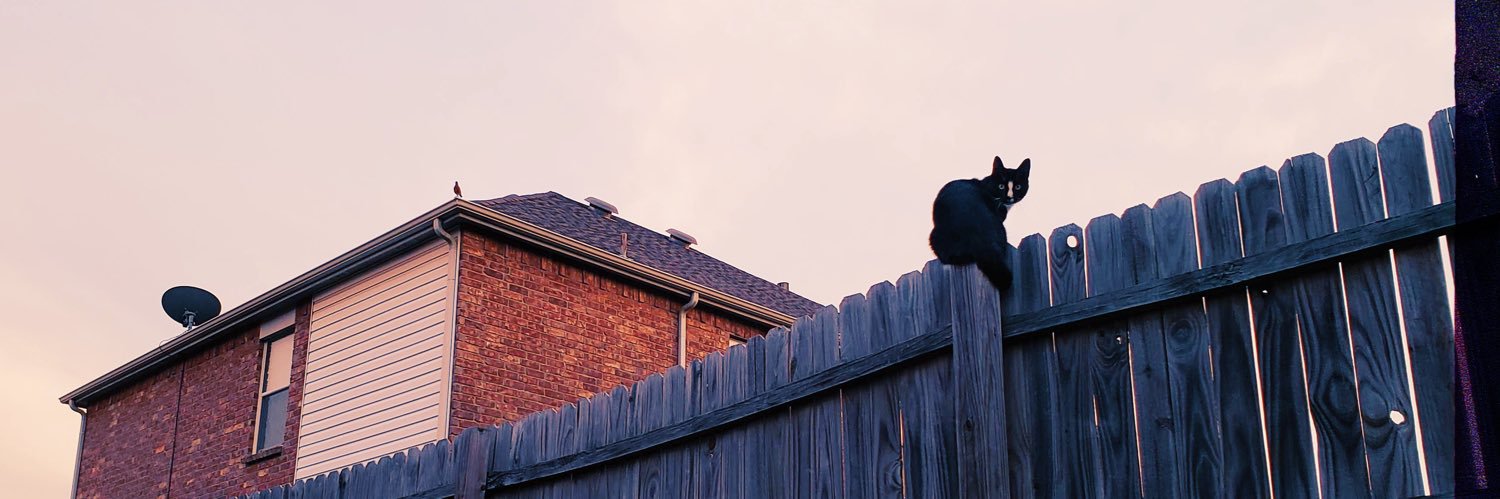 basilunwash's profile banner image