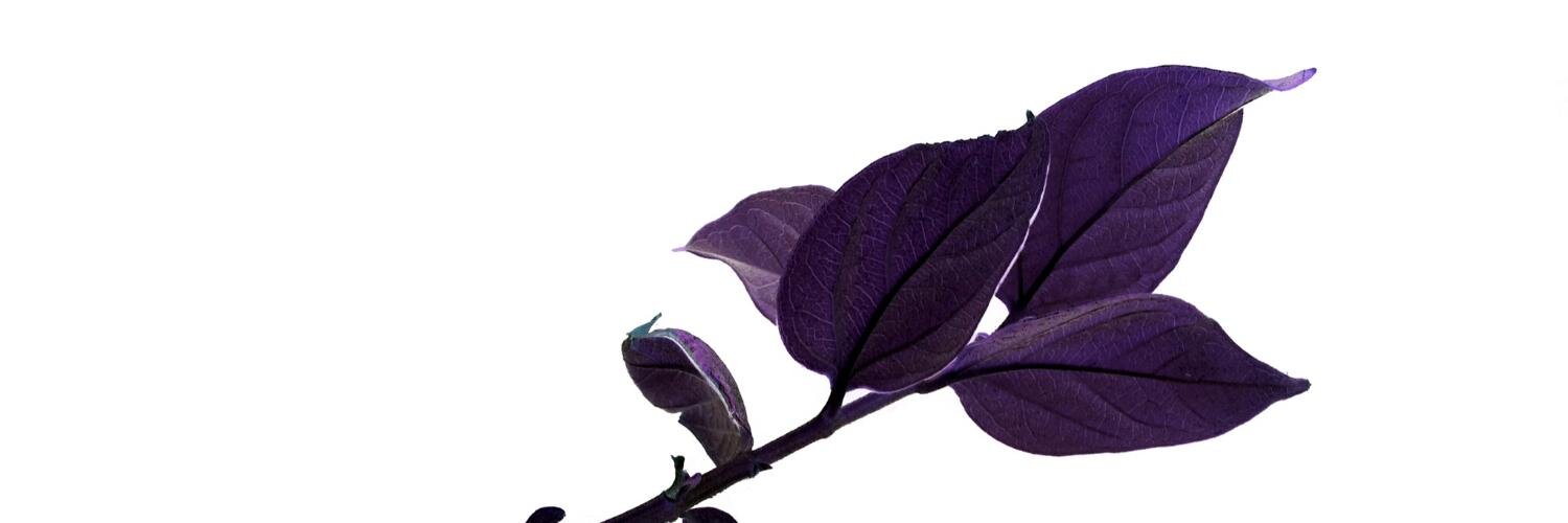 tejasprawal's profile banner image