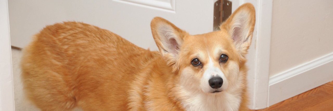 nam_eth's profile banner image