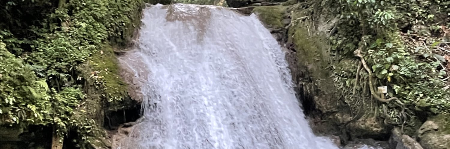 ThatRodeoShow's profile banner image